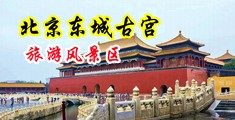 肏你屄视频中国北京-东城古宫旅游风景区